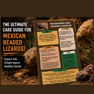 Peut inclure: Un panneau rectangulaire de guide de soins pour les lézards perlés mexicains, Heloderma exasperatum, avec des sections de texte sur la chaleur, l'humidité, l'enclos et l'alimentation. Le panneau inclut une photo de lézard sur fond rocheux.