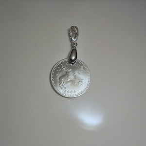 Capricorn Astrology Sign Coin Pendant
