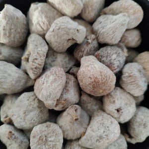 Può includere: Primo piano di una ciotola nera piena di fichi secchi. I fichi sono marrone chiaro con un rivestimento bianco e polveroso. I fichi hanno una consistenza rugosa e sono raggruppati, riempiendo l'inquadratura.
