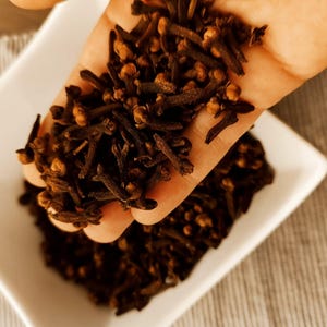 May include: Close-up of whole cloves, a common spice, held in a hand above a white square dish. The cloves are dark brown and appear dried. The background is a light-colored, textured surface.