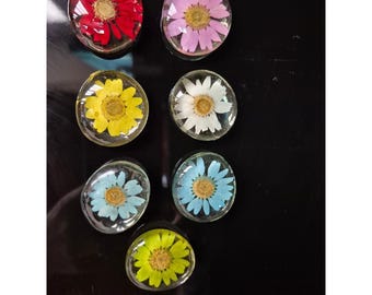 Juego de 7 imanes vintage de resina con forma de margarita, diseño retro de flores prensadas y decoración de cocina en lucita.
