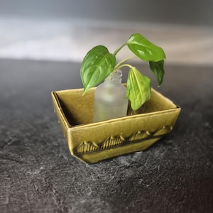 May include: A small, square, olive-green ceramic planter with a textured surface and a decorative border. Inside, a frosted glass bottle holds a green plant with several vibrant green leaves. The planter sits on a dark, textured surface.