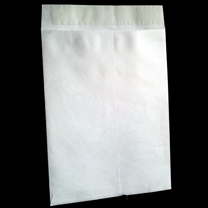 9 1/2 X 12 1/2 Tyvek Shipping Bags / Envelopes 500/lot Etsy