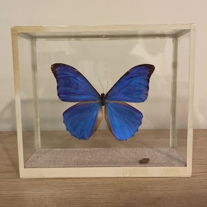 Puede incluir: Un juego de tres tazas de cerámica con acabado mate moteado. Las tazas son de color crema, gris claro y gris oscuro. Cada taza tiene un diseño simple y minimalista.