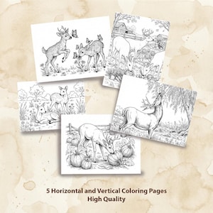 May include: Five black and white coloring pages featuring deer in various outdoor scenes. The illustrations include deer with butterflies, near a barn, and eating pumpkins. Text at the bottom reads "5 Horizontal and Vertical Coloring Pages High Quality."