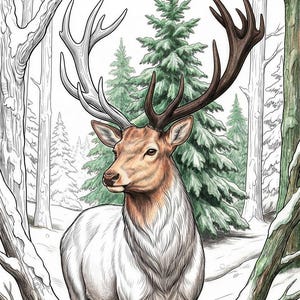 5 Winter Deer Themed Coloring Pages, Adult and Children Coloring Pages, Cool Animal Coloring Pages for Party