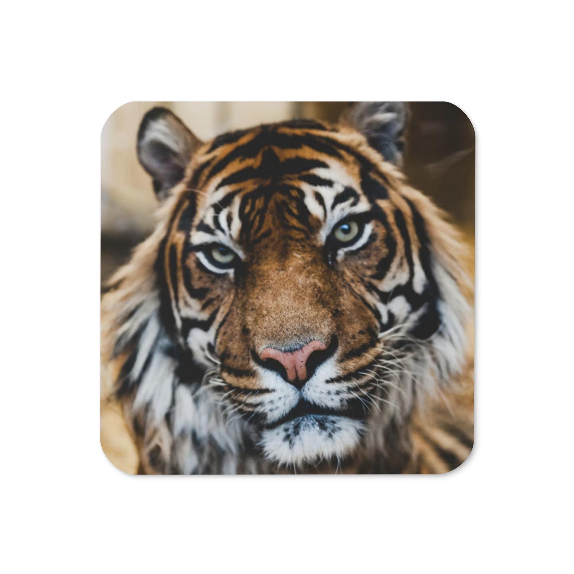 Sous-Boisson Tigre Boissons