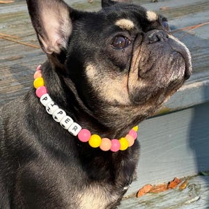 Frenchie Friends シグネチャーコレクション カスタム犬用首輪 - パーソナライズされた名前 | シリコンビーズ | 「The Piper」