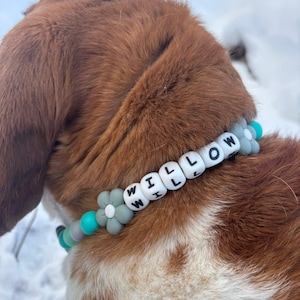 Frenchie Friends シグネチャーコレクション カスタム犬用首輪 - パーソナルネーム入り | シリコンビーズ | 「The Willow」