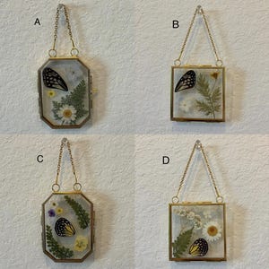 May include: Four decorative glass frames with gold-colored metal edges and hanging chains. Each frame contains dried flowers, ferns, and a butterfly wing. The frames are in different shapes: rectangular and octagonal.