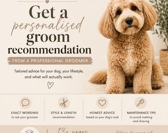Recomendación personalizada de peluquería canina / Plan a medida, Doodle Help (Descarga digital)