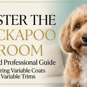 Può includere: Immagine di un cane Cockapoo marrone chiaro con il testo "MASTER THE COCKAPOO GROOM" e "Advanced Professional Guide". Sono presenti anche icone di strumenti per la toelettatura. L'immagine è per le guide alla toelettatura degli animali domestici.