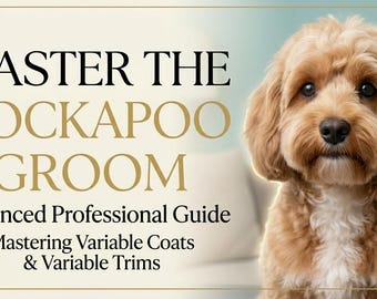 Guía profesional de aseo para Cockapoo / Instrucciones de corte paso a paso (Descarga en PDF)