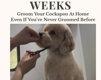 Guía de aseo para Cockapoo / Tutorial paso a paso para cortar el pelo en casa (Descarga en PDF)