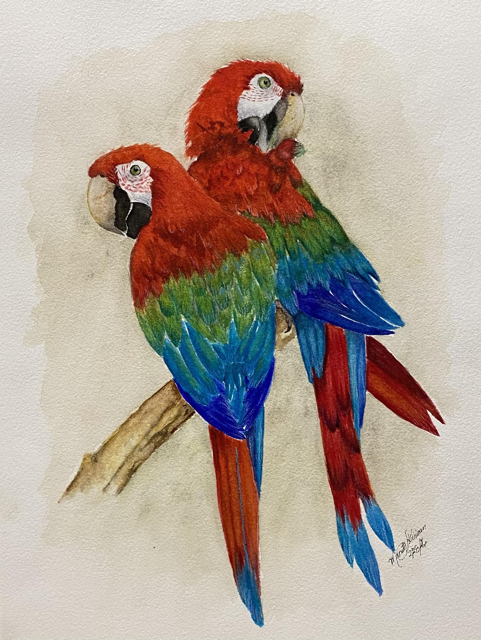 Parrot Painting - Etsy