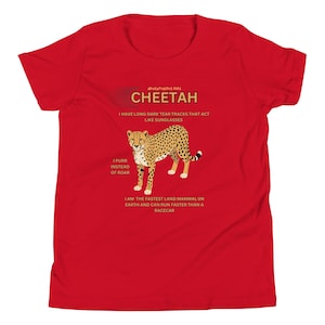 May include: A bright red short-sleeve t-shirt featuring a graphic of a spotted cheetah. The text reads: ADVENTUROUS KIDS CHEETAH, I HAVE LONG DARK TEAR TRACKS THAT ACT LIKE SUNGLASSES, I PURR INSTEAD OF ROAR, I AM THE FASTEST LAND MAMMAL ON EARTH.
