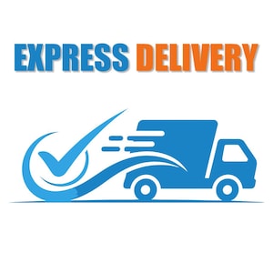 May include: A blue delivery truck graphic with the words "EXPRESS DELIVERY" in blue and orange. A blue checkmark and swoosh design is in front of the truck, suggesting fast and reliable shipping.
