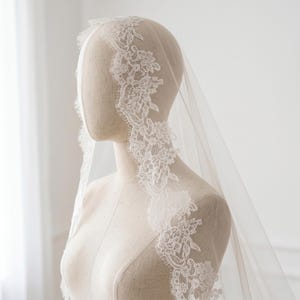 Puede incluir: Un velo de novia blanco y transparente con un intrincado borde de encaje floral. El delicado patr&oacute;n de encaje incluye flores y hojas detalladas con un acabado festoneado, colocado sobre la cabeza y los hombros de un maniqu&iacute;.