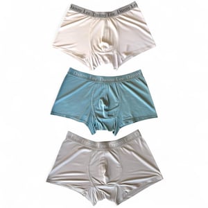May include: Three pairs of boxer briefs in cream, blue, and gray. Each pair has a gray waistband with the text "Danny Lee" printed across it. The briefs are made of a smooth, silky material.