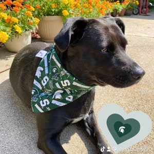 MICHIGAN STATE UNIVERSITY, Dog Bandana, Elastic Collar, Made to Order image 3