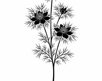 Wildflower SVG Bundle Floral Silhouette SVG Nigella Morning Glory Larkspur Verbena Dusty Miller Style Cut Files Cricut Silhouette Laser