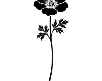 Wildflower SVG Bundle | Botanical Silhouette Cut Files (Digital Download)