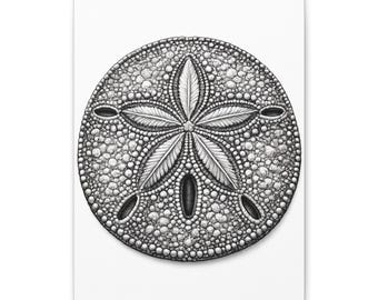 Sand Dollar Print: Nautical Wall Decor (Matte Canvas, Stretched)