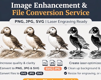 File Conversion Service: Image Upgrade for Cricut & Glowforge - Digital Files