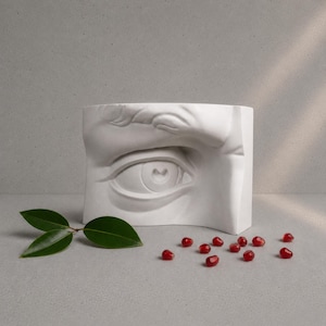 Michelangelo David Eye Fragment Plaster Cast – Classical Sculpture Study Model