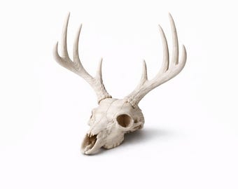 Deer Skull Jewelry Holder with Antlers – Minimalist Necklace Organizer – Unique Desk or Dresser Decor Gift