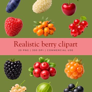 Op de afbeelding: Een verzameling realistische bessen clipart op een groene achtergrond. De afbeelding toont een verscheidenheid aan bessen, waaronder een kers, framboos, braam en kruisbes. De tekst "Realistic berry clipart" wordt weergegeven op een roze banner.