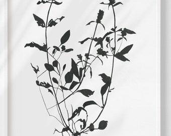 Mint Herb Art Print: Minimalist Botanical Silhouette