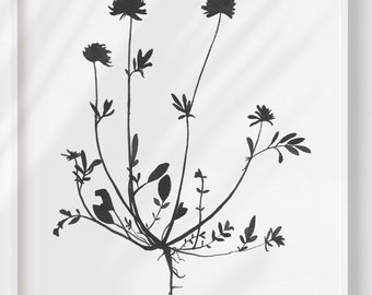 Scabiosa Flower Art Print: Minimalist Botanical Silhouette