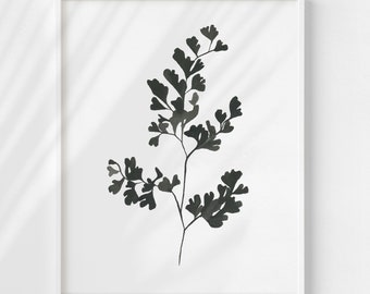 Maidenhair Fern Art Print: Minimalist Black Silhouette Botanical Illustration