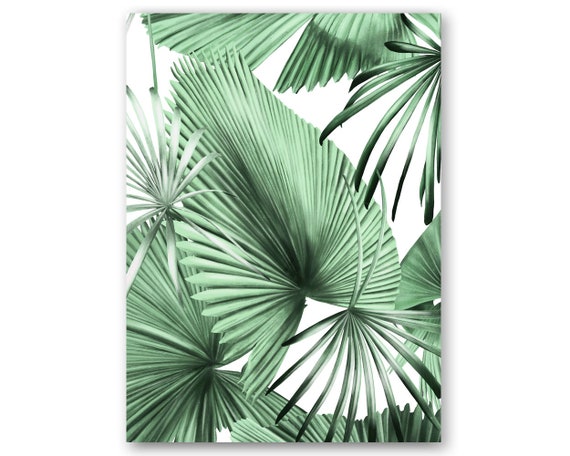 Feuille De Palmier Bananier Tropical Palm Springs Imprimer Etsy Feuille De Palmier Bananier Tropical Palm Springs Imprimer Etsy