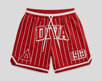 Diva 1913 Pin Striped Embroidered Mesh Shorts