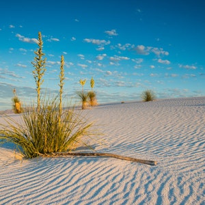 White Sands Photography, New Mexico, Sand Dunes, Horizontal Print, Blue Sky, Shadows, Dry, Sand Ripples, White Sands Yuccas