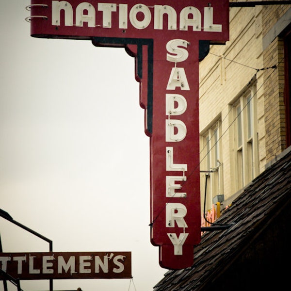 Oklahoma City Photography, Neon Sign, Stockyards, Downtown, Retro, National Saddlery