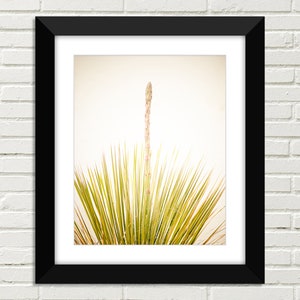 White Sands Photography, New Mexico, Fine Art Photography, Abstract, Vertical Print, Minimalist Wall Decor, Yucca Top and Flower