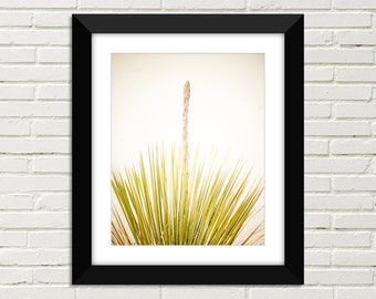 White Sands Photography, New Mexico, Fine Art Photography, Abstract, Vertical Print, Minimalist Wall Decor, Yucca Top and Flower