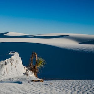 White Sands Photography, New Mexico, Sand Dunes, Horizontal Print, Shadows, Blue Sky, Dry, Desert, White Sands Sand Stone and Yucca