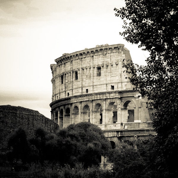 Rome Italy, Roman Forum, Black and White Sepia Fine Art Photograph, Coliseum Section