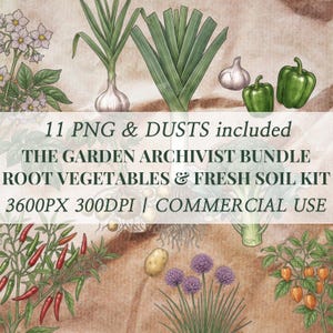 Puede incluir: Ilustración digital de diversas hortalizas de raíz y hierbas, incluyendo puerros, ajo y pimientos verdes. El texto dice "11 PNG & DUSTS included" y "THE GARDEN ARCHIVIST BUNDLE ROOT VEGETABLES & FRESH SOIL KIT".