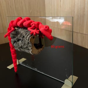 K&ouml;nnte beinhalten: Eine leuchtend rote, bewegliche Eidechsenfigur, die auf einem St&uuml;ck strukturierter, grauer Rinde sitzt. Die Eidechse ist 3D-gedruckt und scheint sich auf der Rinde auszuruhen. Der Text "80 Gramm" ist im Bild zu sehen.