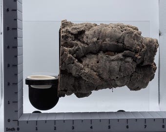 Mittleres magnetisches Korkrindenversteck mit Futternapf – Natürliches, bioaktives Reptilienversteck und Futterstation