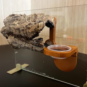 May include: A terrarium accessory featuring a natural cork bark hide and a brown plastic feeding dish. The dish is attached to a clear glass panel with a brown bracket. The cork bark provides a naturalistic habitat for reptiles or amphibians.