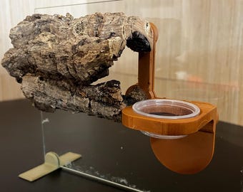 Kleines magnetisches Korkrindenversteck mit Futternapf – Natürliches, bioaktives Reptilienversteck und Futterstation