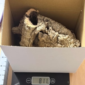 May include: A piece of natural brown cork bark with a hollow centre, placed inside a white cardboard box on a digital scale. The scale display shows a weight of 230 grams. The bark has a rough, textured surface with varied shades of brown.