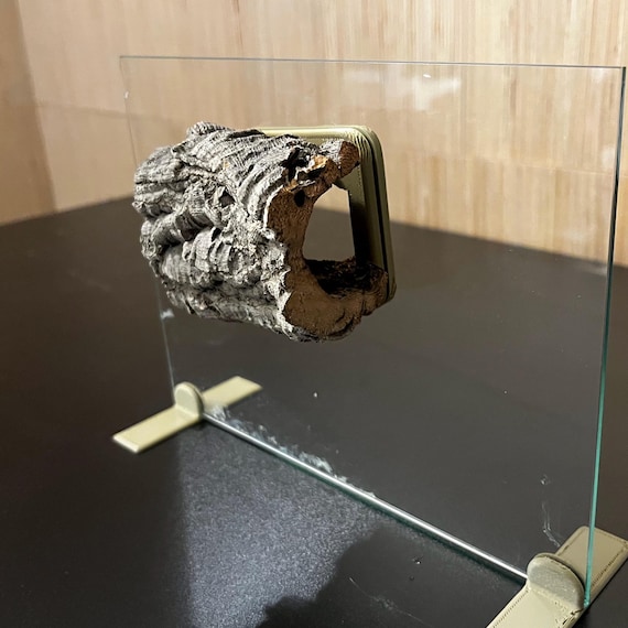 Magnetic Cork Bark Hide for Reptiles – Natural Bioactive Terrarium Retreat with Hidden Magnets