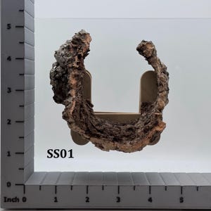 May include: A curved piece of natural brown tree bark with a rough, textured surface, positioned on a beige plastic stand. A gray L-shaped ruler is visible in the background, showing the bark measures approximately 3.5 inches in height.